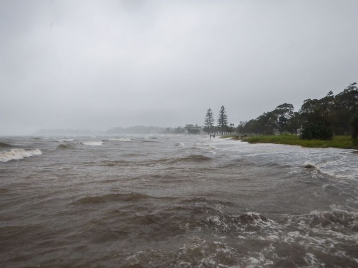 Suncorp prepared and ready to support customers impacted by Tropical Cyclone Alfred 